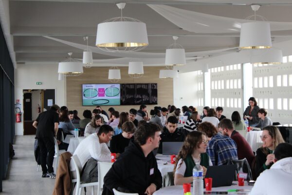 Étudiants travaillant en groupe lors du hackathon LAB’O x ISC 